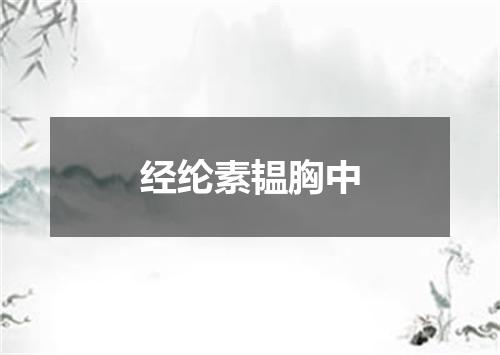 经纶素韫胸中