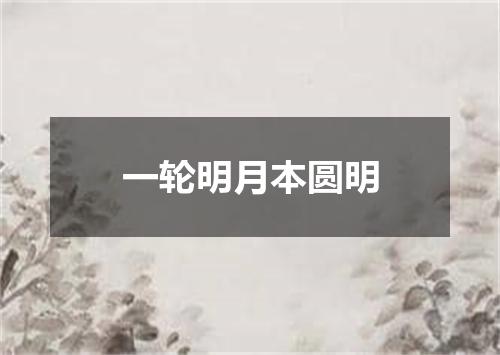 一轮明月本圆明