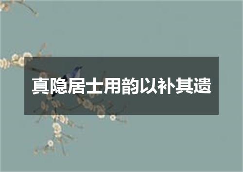 真隐居士用韵以补其遗