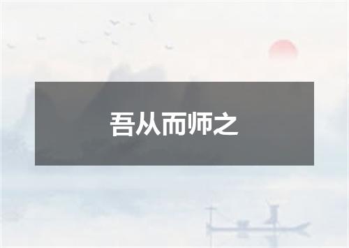 吾从而师之