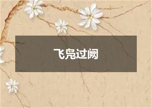 飞凫过阙