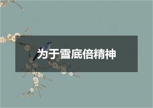 为于雪底倍精神
