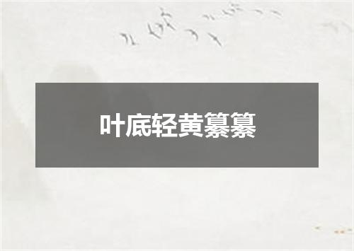 叶底轻黄纂纂