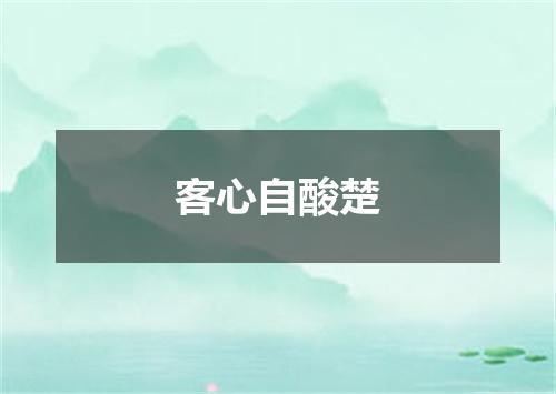 客心自酸楚