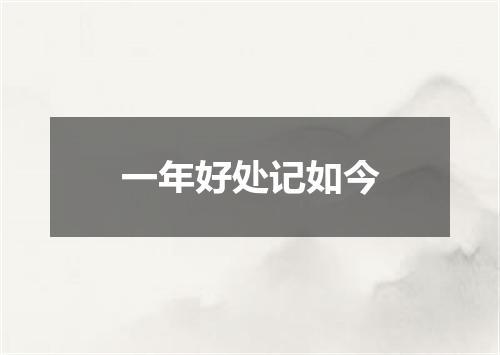 一年好处记如今