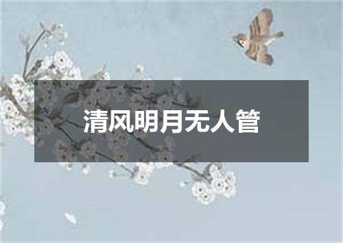 清风明月无人管