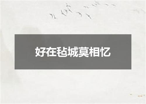 好在毡城莫相忆