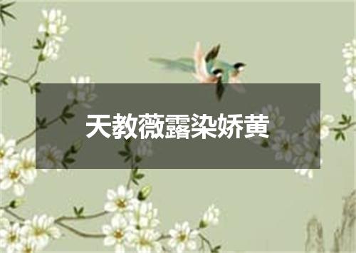 天教薇露染娇黄