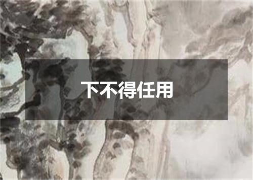 下不得任用