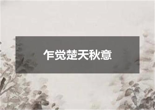 乍觉楚天秋意