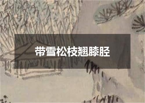 带雪松枝翘膝胫