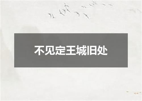 不见定王城旧处