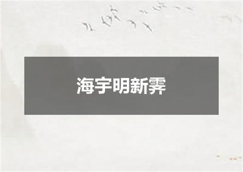 海宇明新霁