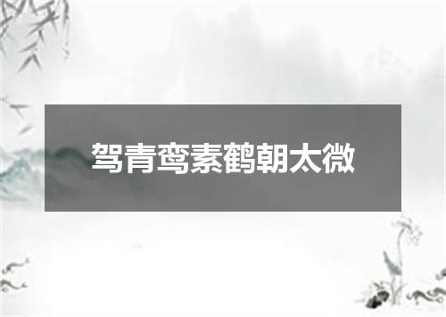 驾青鸾素鹤朝太微