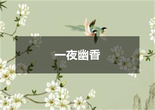 一夜幽香