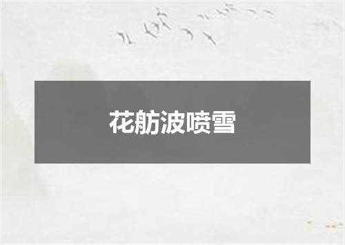 花舫波喷雪