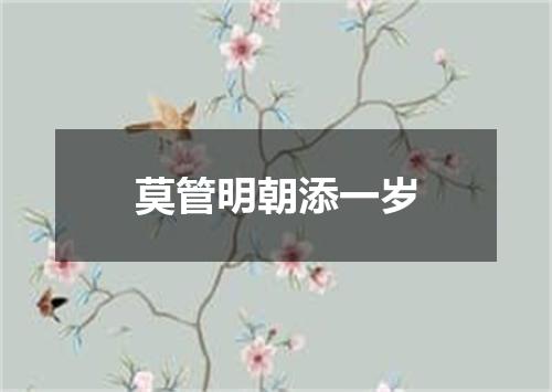 莫管明朝添一岁