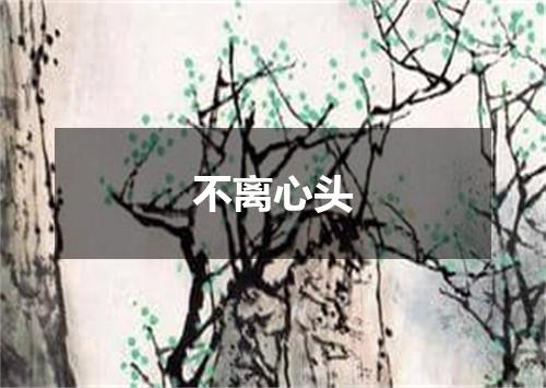 不离心头