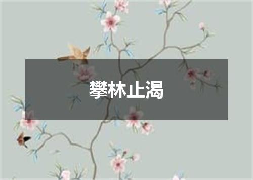攀林止渴