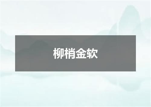 柳梢金软