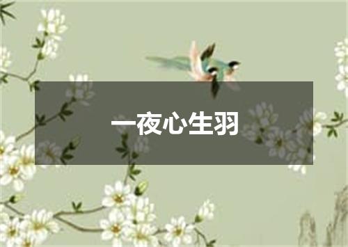 一夜心生羽