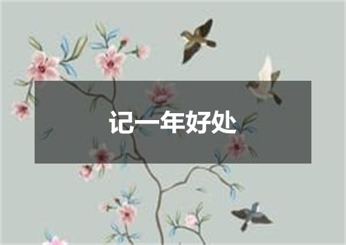 记一年好处