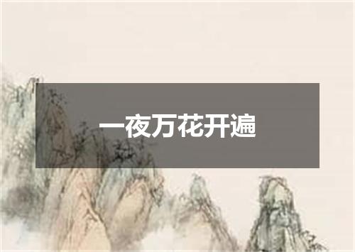 一夜万花开遍