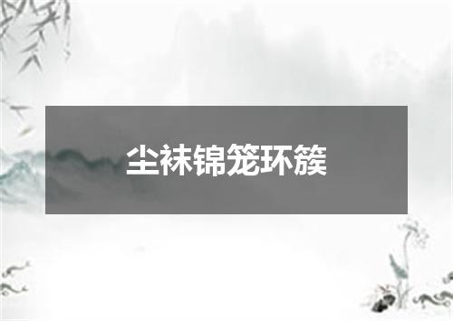 尘袜锦笼环簇