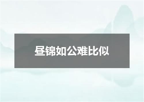 昼锦如公难比似