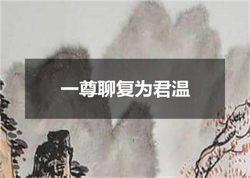 一尊聊复为君温