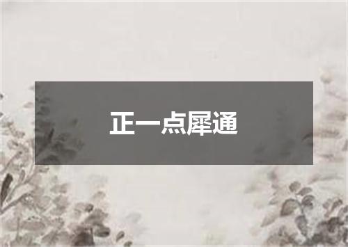 正一点犀通