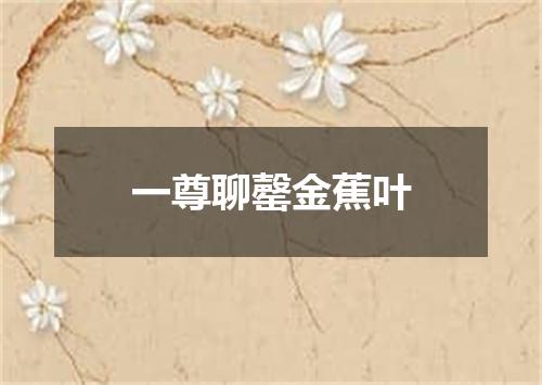 一尊聊罄金蕉叶