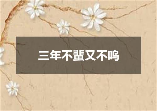 三年不蜚又不呜