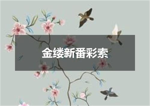 金缕新番彩索