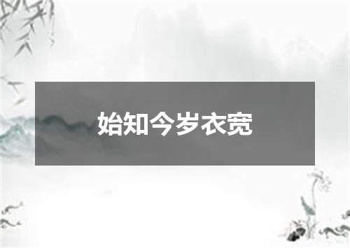 始知今岁衣宽