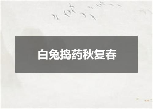 白兔捣药秋复春