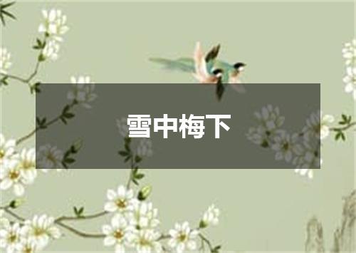 雪中梅下