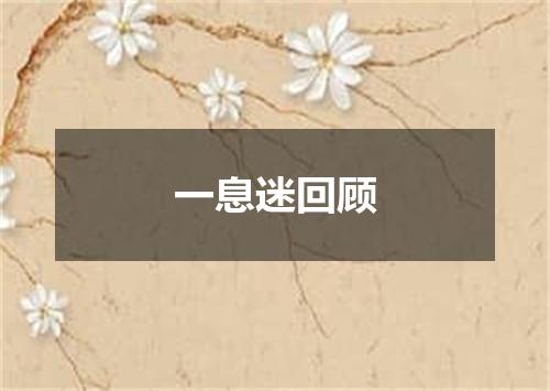 一息迷回顾