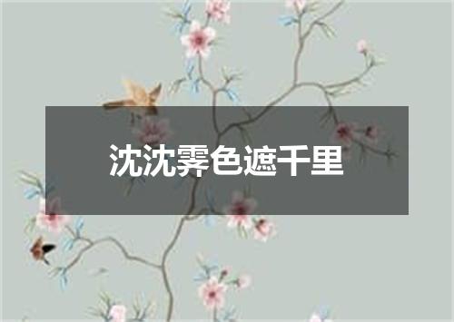 沈沈霁色遮千里
