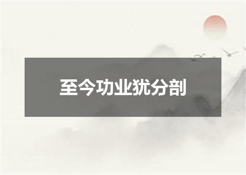 至今功业犹分剖