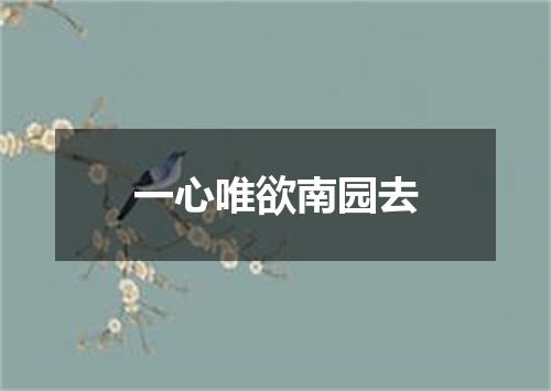 一心唯欲南园去