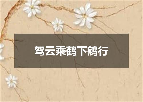 驾云乘鹤下鹓行