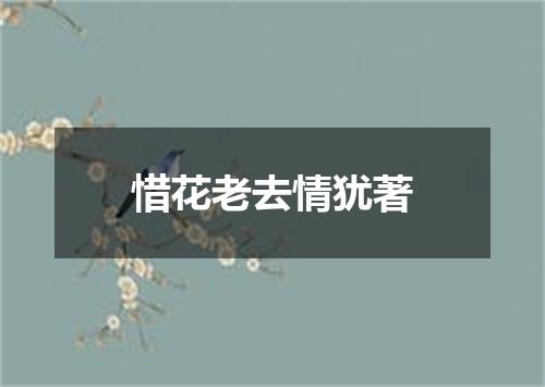 惜花老去情犹著