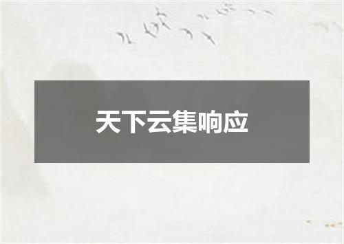天下云集响应