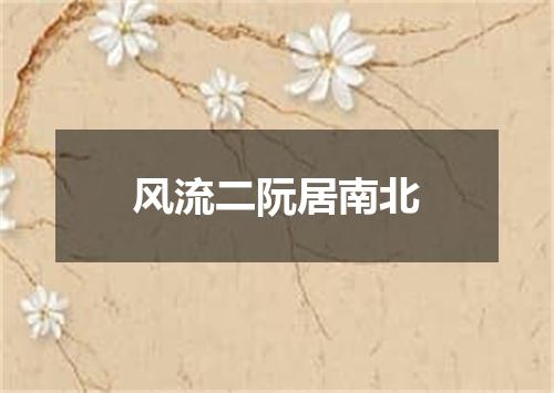 风流二阮居南北