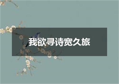 我欲寻诗宽久旅