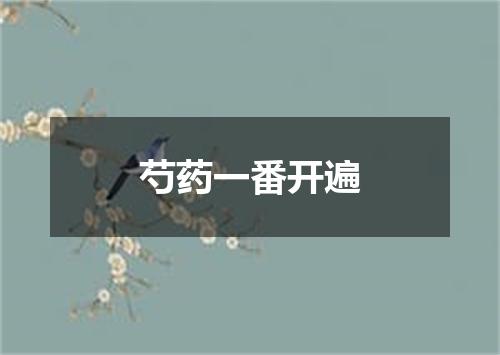 芍药一番开遍