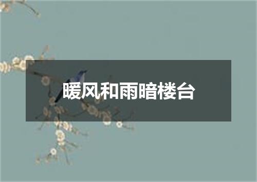 暖风和雨暗楼台