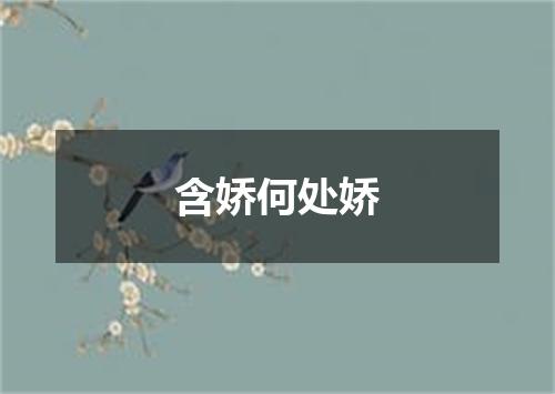 含娇何处娇