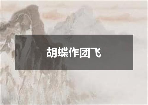 胡蝶作团飞